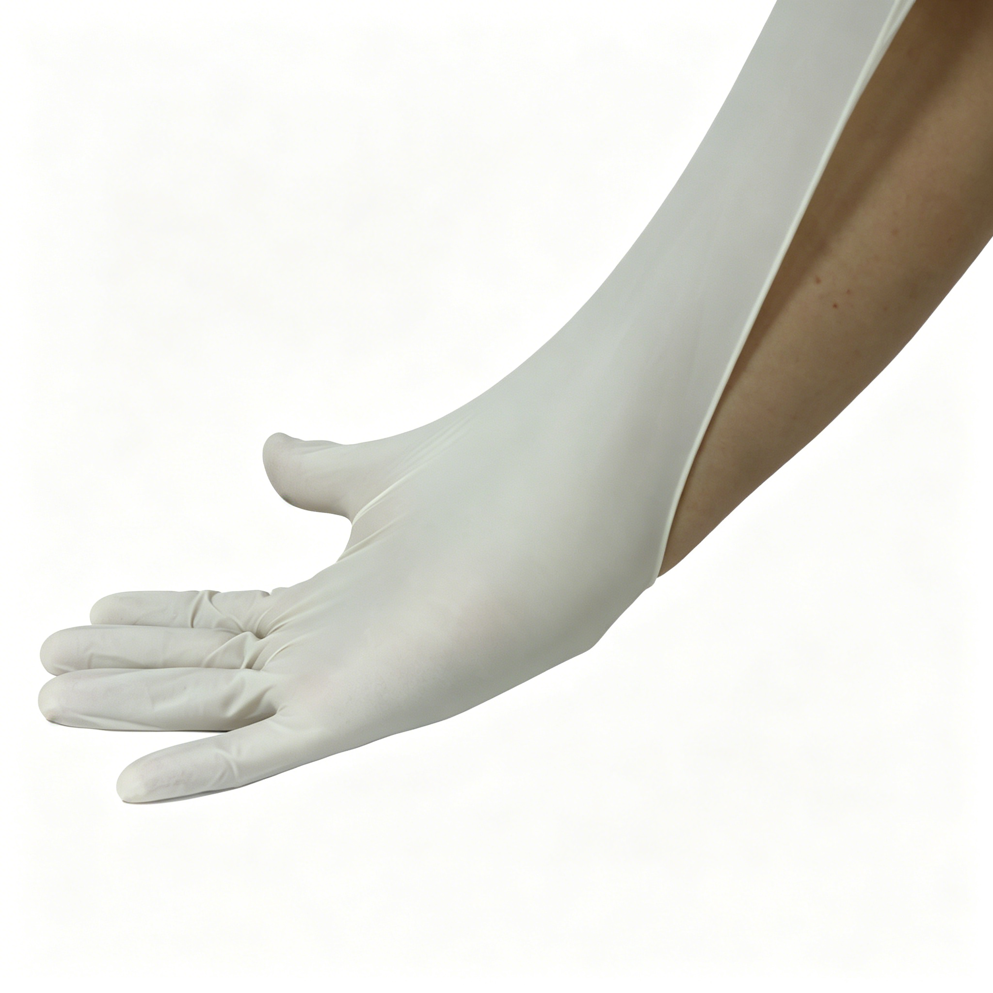 Disposable medical rubber exam - đánh giá và giá Latex Disposable Glove