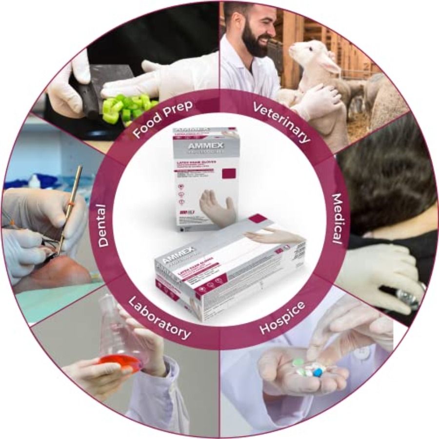 AMMEX White Latex Disposable E - đánh giá và giá Latex Disposable Glove